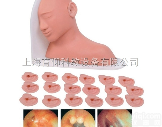 高级耳部<em>检查</em><em>模型</em>|临床<em>诊断</em>实训<em>模型</em>