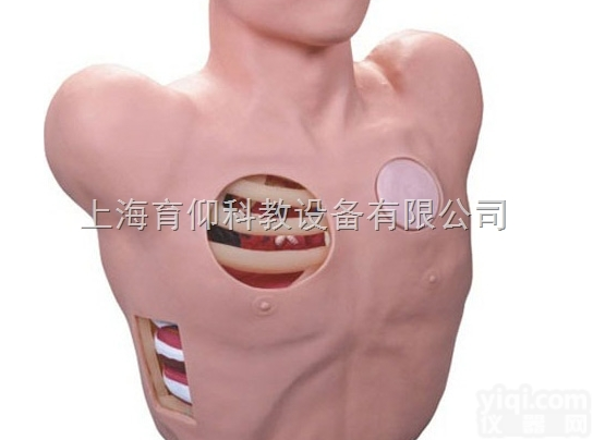 <em>胸腔穿刺引流模型</em>|临床诊断实训模型