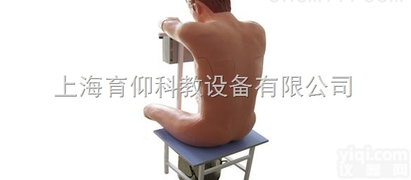 胸腔<em>穿刺</em>模<em>拟人</em>|临床诊断实训模型