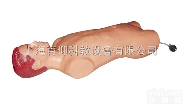 股动脉<em>穿刺</em>模<em>拟人</em>|临床诊断实训模型