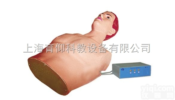 肝脓肿穿刺与胸腔穿刺电子标准化病人电动模型|<em>临床诊断实训模型</em>