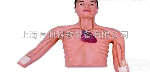 PICC介入<em>训练</em><em>模型</em>|临床<em>诊断</em>实训<em>模型</em>