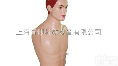 上颌窦穿刺<em>训练</em><em>模型</em>|临床<em>诊断</em>实训<em>模型</em>