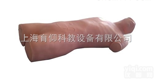 锁骨下静脉穿刺模型（电子监测）|<em>临床诊断实训模型</em>