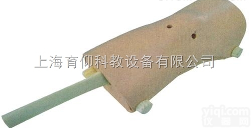 膝关节镜<em>检查</em><em>模型</em>|临床<em>诊断</em>实训<em>模型</em>