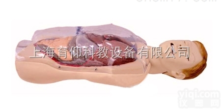 三腔二囊管<em>训练</em><em>模型</em>|临床<em>诊断</em>实训<em>模型</em>