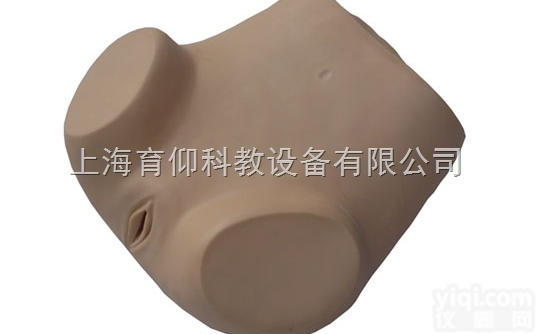 <em>妇产胎儿技能训练模型</em>|<em>妇产胎儿技能训练模型</em>