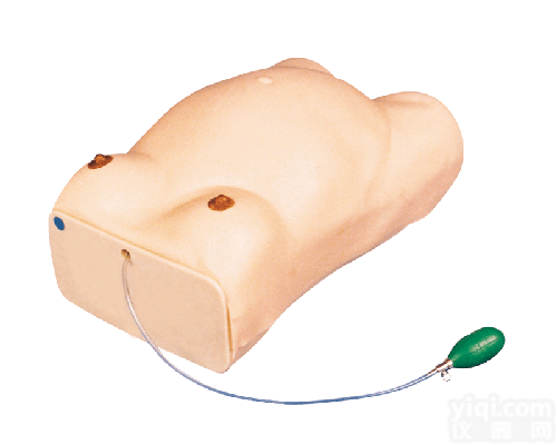 高级孕妇检查模型|<em>妇产胎儿技能训练模型</em>