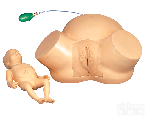 高级<em>难产</em>示教<em>训练</em><em>模型</em>|妇产胎儿技能<em>训练</em><em>模型</em>