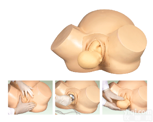 高级<em>助产</em><em>训练</em><em>模型</em>|妇产胎儿技能<em>训练</em><em>模型</em>