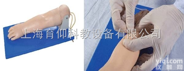 高级小儿静脉穿刺<em>手部</em><em>模型</em>|妇产胎儿技能训练<em>模型</em>