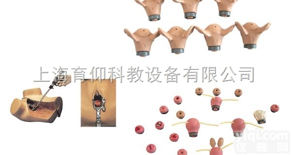 高级妇科综合检查训练模型|<em>妇产胎儿技能训练模型</em>