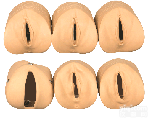 产前宫颈变化与产道关系模型|<em>妇产胎儿技能训练模型</em>