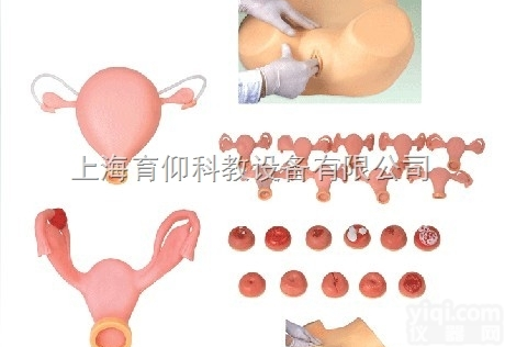 高级妇科检查模型|<em>妇产胎儿技能训练模型</em>