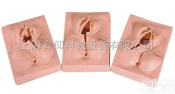 <em>外阴</em><em>缝合</em>练习模型|妇产胎儿技能训练模型