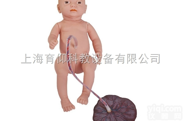 高级<em>新生儿</em><em>脐带</em><em>护理模型</em>|妇产胎儿技能训练模型