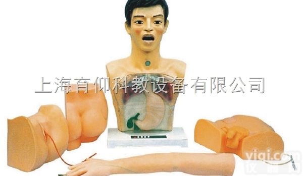 新型基础护理<em>实习</em>操作<em>模型</em>|护理训练<em>模型</em>