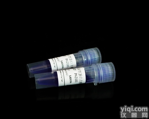 <em>还原型</em>蛋白上样<em>缓冲液</em>，5×，1ml×2海利克思科研...