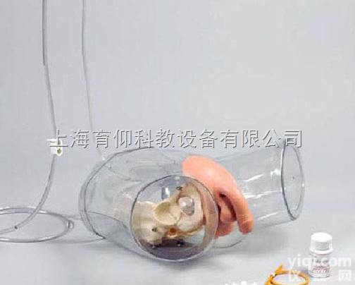 男性内外生殖器及<em>导尿</em>模型|<em>护理</em>训练模型