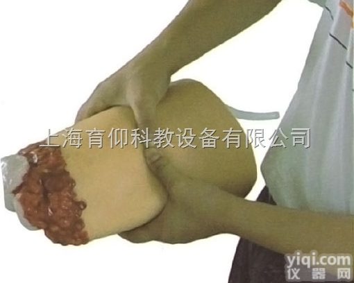 下肢外伤<em>断肢</em><em>止血</em><em>模型</em>|护理训练<em>模型</em>