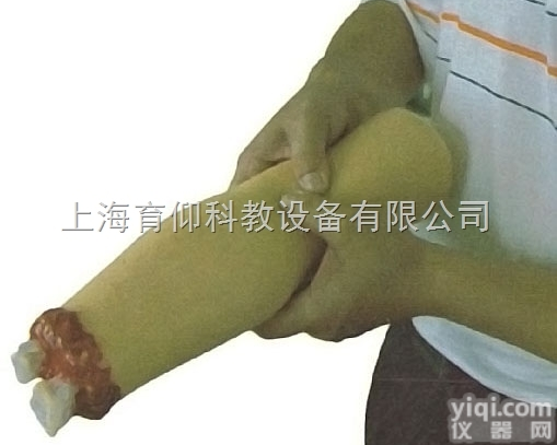 上肢外伤<em>断肢</em><em>止血</em><em>模型</em>|护理训练<em>模型</em>
