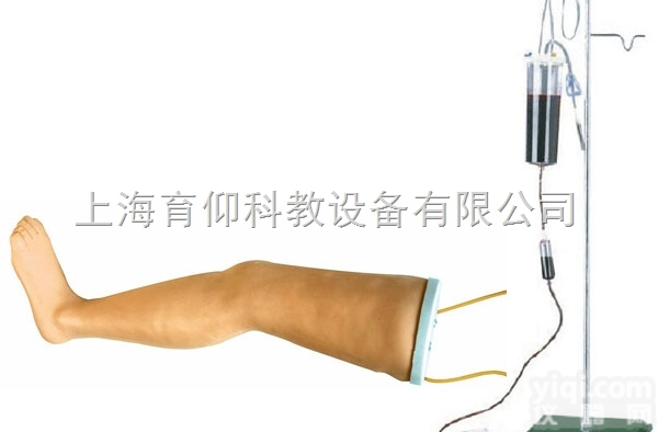 高级<em>静脉</em>输液腿<em>模型</em>|护理训练<em>模型</em>