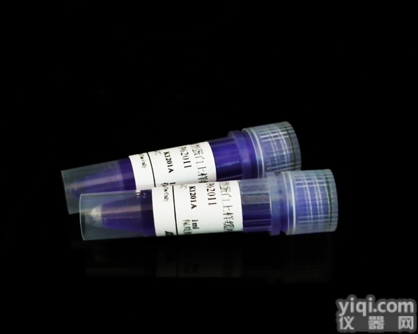 非<em>还原型</em>蛋白上样<em>缓冲液</em>，5×，1ml×2海利克思科...