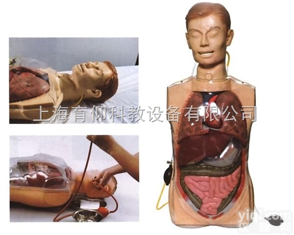多功能透明<em>洗胃</em>训练<em>模型</em>|护理训练<em>模型</em>