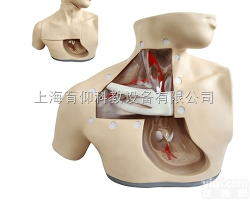 高级肠外<em>营养</em>护理<em>模型</em>|护理训练<em>模型</em>