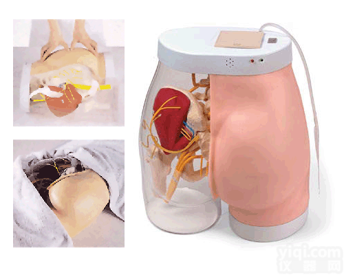 高级臀部肌肉注射<em>训练</em>及对比<em>模型</em>（带检测警示系统）|护理<em>训练</em><em>模型</em>