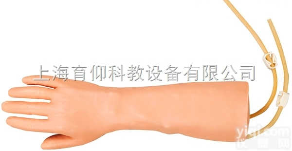 高级手部静脉穿刺训练模型|<em>护理训练模型</em>
