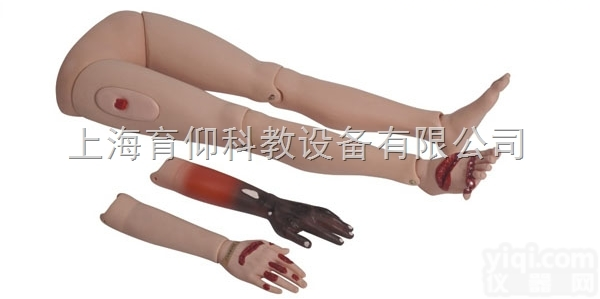 高级<em>创伤</em><em>四肢</em><em>模型</em>|护理训练<em>模型</em>