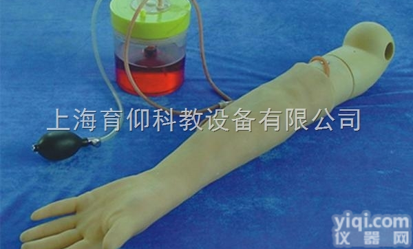 全<em>功能</em>静脉输液<em>仿真</em>手臂|<em>护理</em>训练模型