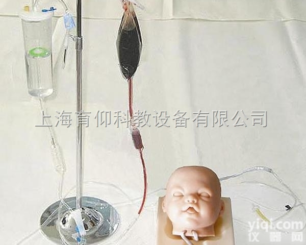 高级<em>婴儿</em><em>头部</em>双侧静脉注射穿刺训练<em>模型</em>|护理训练<em>模型</em>