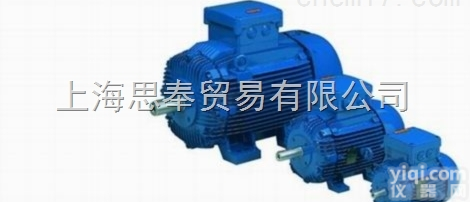 <em>欧洲</em>一手货源WEG德国WEG电机马达<em>循环泵</em>02018EP3E256T