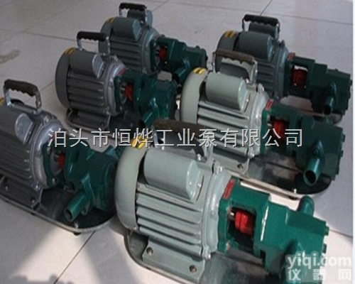 <em>电动</em>WCB<em>手提式</em>齿轮泵，齿轮油泵，微型输油泵恒烨加工