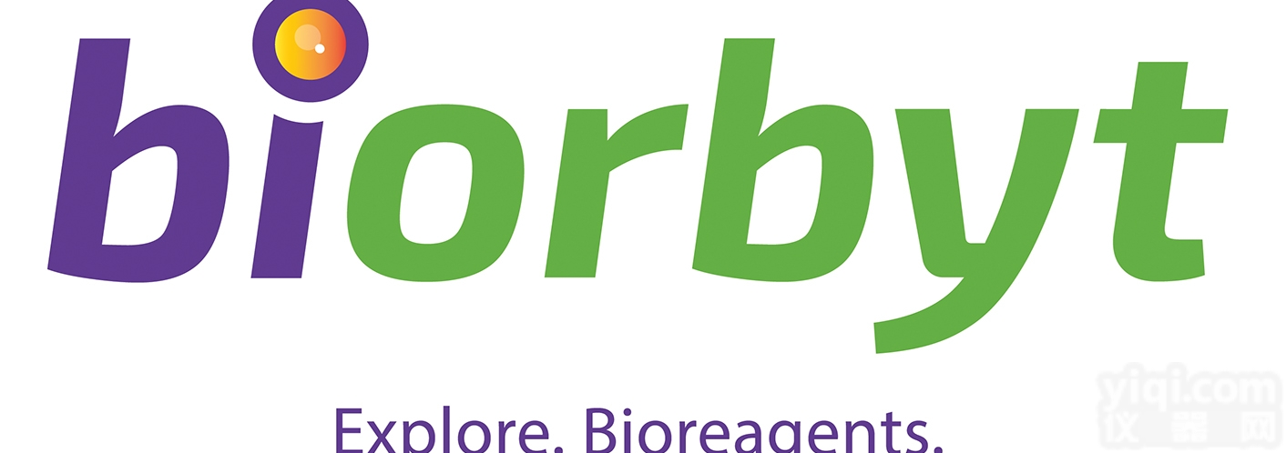 orb5762  <em>Cystatin</em> C <em>anti</em>body <em>Cystatin</em> C 抗体