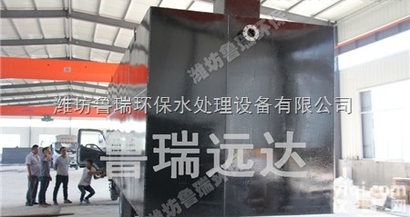 仙桃小型YL<em>污水处理器</em>