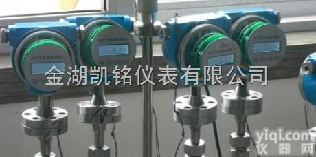 <em>水煤气</em>热式气体质量<em>流量计</em>
