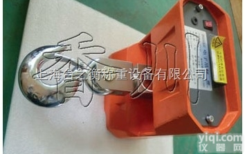<em>奉城镇</em>吊勾磅称重吊秤四团镇50吨直视电子挂钩电子秤海湾镇