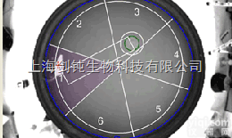 <em>上海</em>Morris水<em>迷宫</em>实验<em>外包</em>