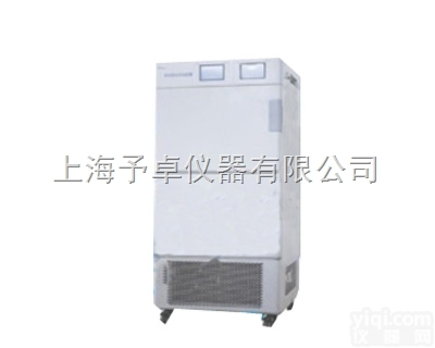 LHH-SG-I  二箱<em>综合药品稳定性试验箱厂家</em>