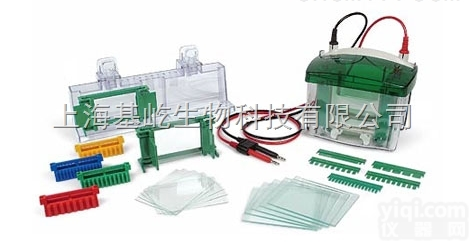 <em>Mini</em>-<em>PROTEAN</em>® Tetra  Biorad <em>Mini</em>-<em>PROTEAN</em>® Tetra 电泳槽