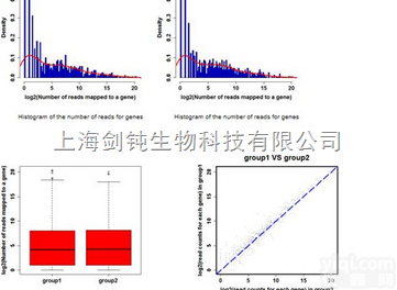 上海<em>miRNA测序</em>实验外包