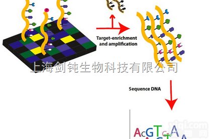 <em>外显子组测序</em>实验外包