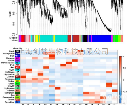 转录组<em>测序</em>实验<em>外包</em>