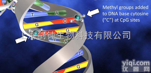 全基因组甲基化<em>测序</em>实验<em>外包</em>