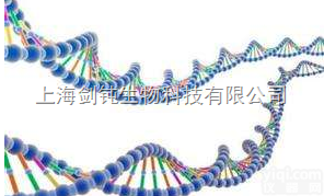 全基因组重<em>测序</em>实验<em>外包</em>