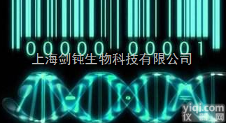 <em>基因芯片</em>实验外包