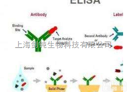 elisa<em>实验</em><em>技术服务</em>外包
